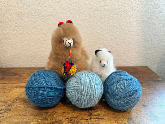 Cultural Bearers, Docentes, Teachers